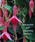 BEAUTY OF CLYFFE HALL