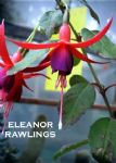 ELEANOR RAWLINS