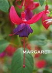 MARGARET