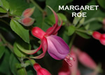 MARGARET ROE